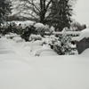 Niederfriedhof Döbeln Niederfriedhof Döbeln
