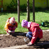 Im Gemüsegarten Im Gemüsegarten